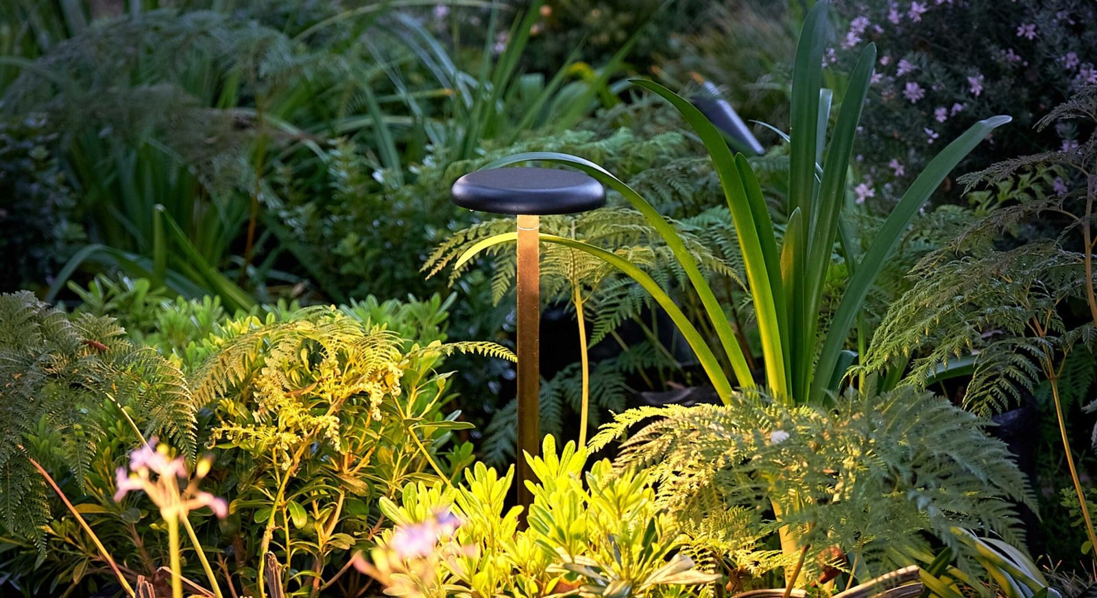 Expo Jardines 2025 | Lighting Design: Victoria Campino | Paisajismo: LA_B