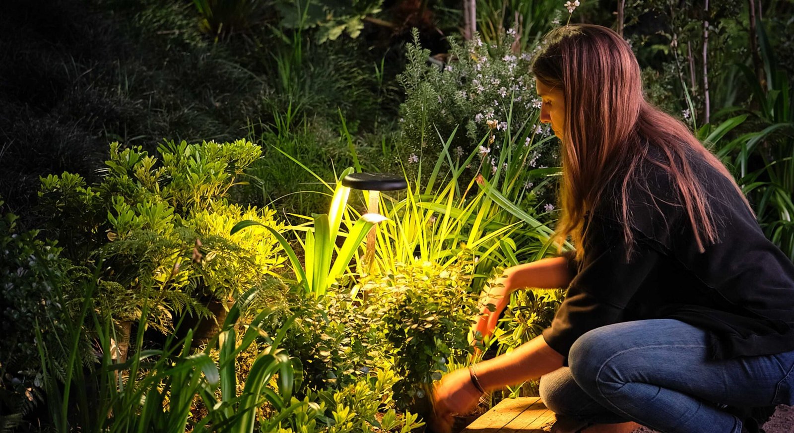 Expo Jardines 2025 | Lighting Design: Victoria Campino | Paisajismo: LA_B
